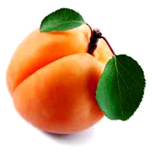 Fruits & Vegetables Benefits benefits of eating apricots