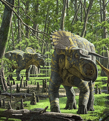 Nasutoceratops