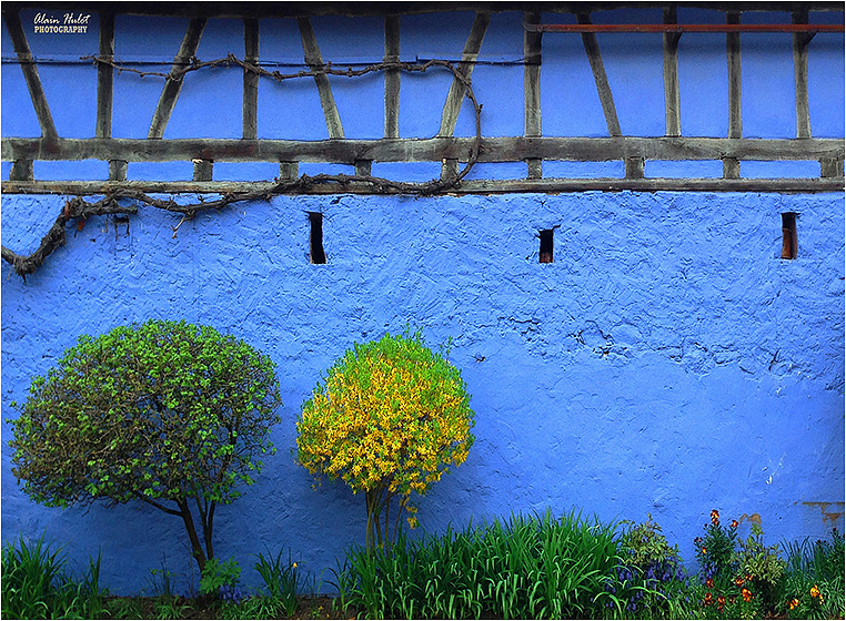 Emerging Photographers, Best Photo of the Day in Emphoka by Alain Hulot Emerging Photographers, Best Photo of the Day in Emphoka by Alain Hulot