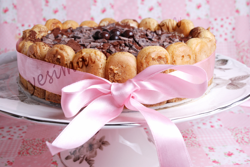 Kedi dili tiramisu Tiramisu with Biscotti Savoiardi Keyfe Keder