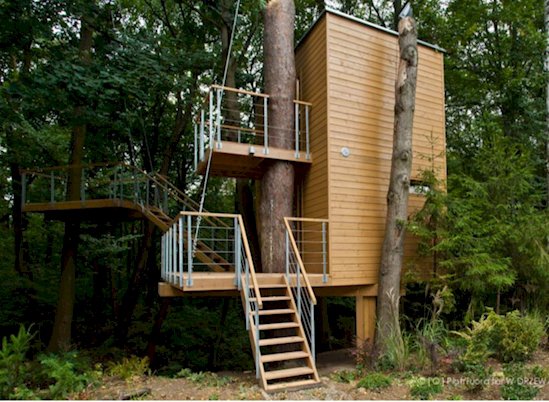 13 Times Humans Respected Mother Nature - Apartments in Poland that incorporate the surrounding forest into their design. 13 Times Humans Respected Mother Nature - Apartments in Poland that incorporate the surrounding forest into their design.