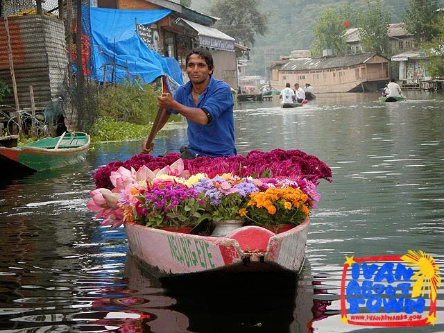 Shikara around Dal Lake, Srinagar, Kashmir