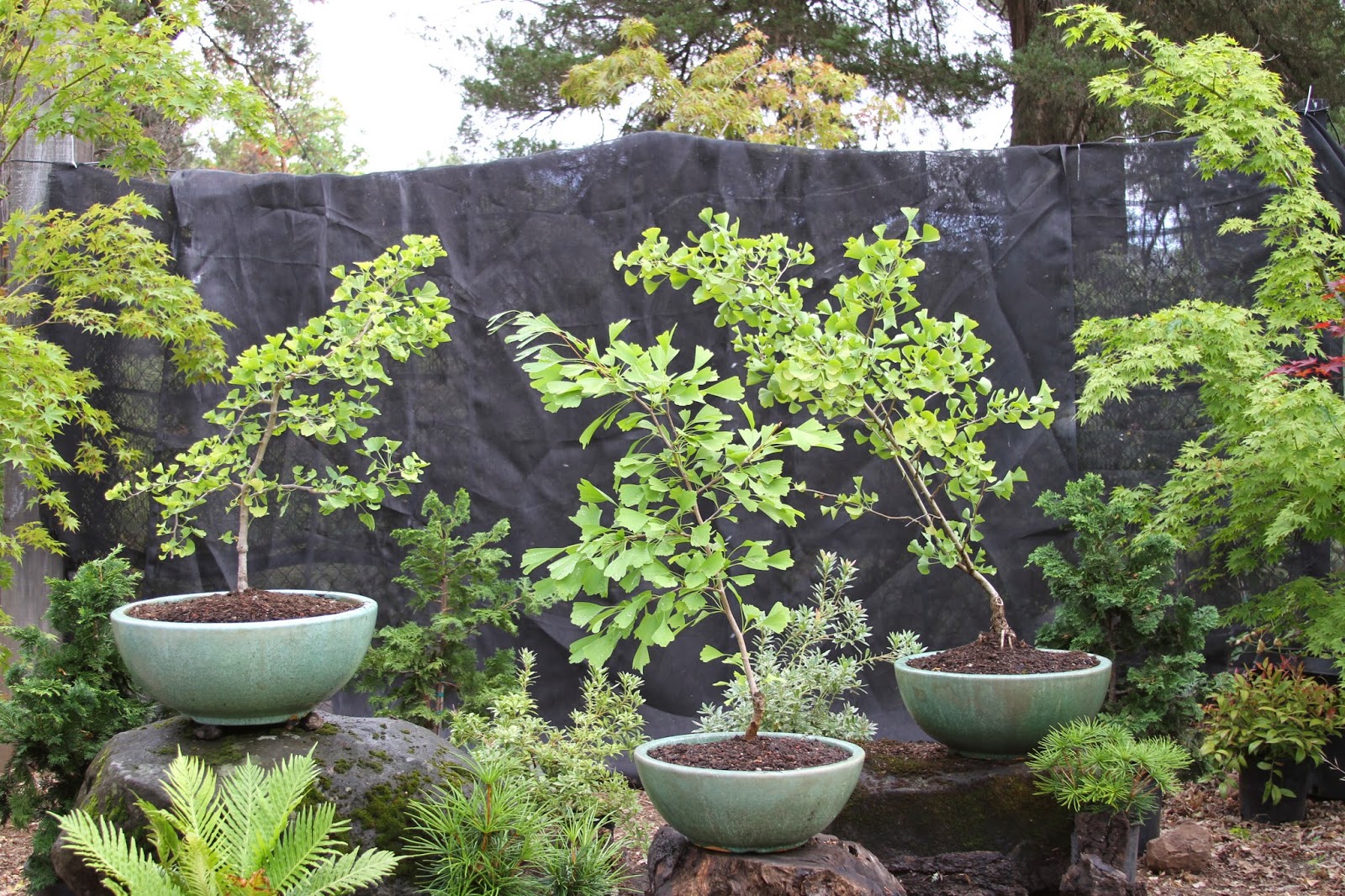 How To Start A Container Garden