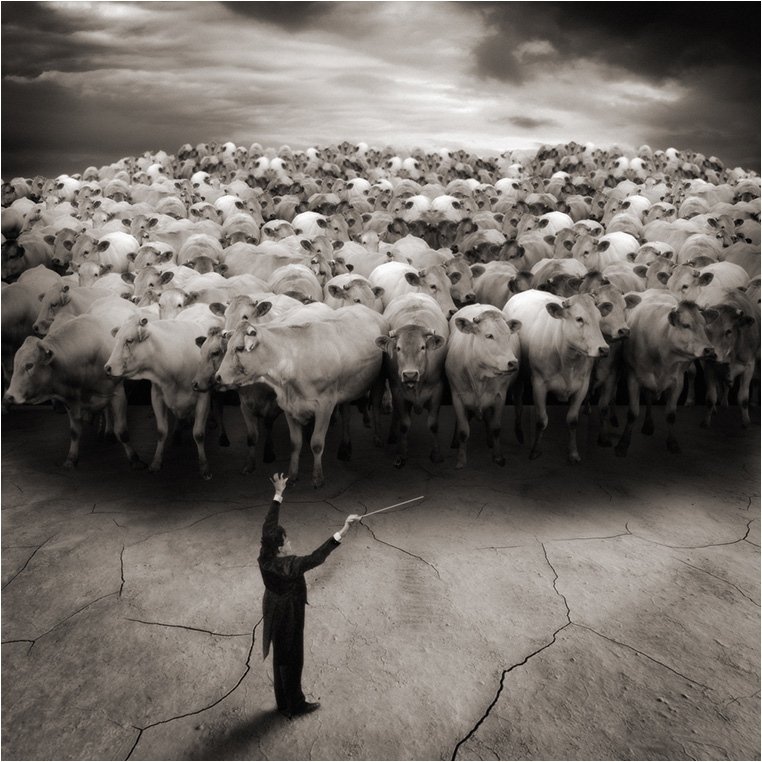 Emerging Photographers, Best Photo of the Day in Emphoka by Yves Lecoq, https://flic.kr/p/6dP2PN Emerging Photographers, Best Photo of the Day in Emphoka by Yves Lecoq, https://flic.kr/p/6dP2PN