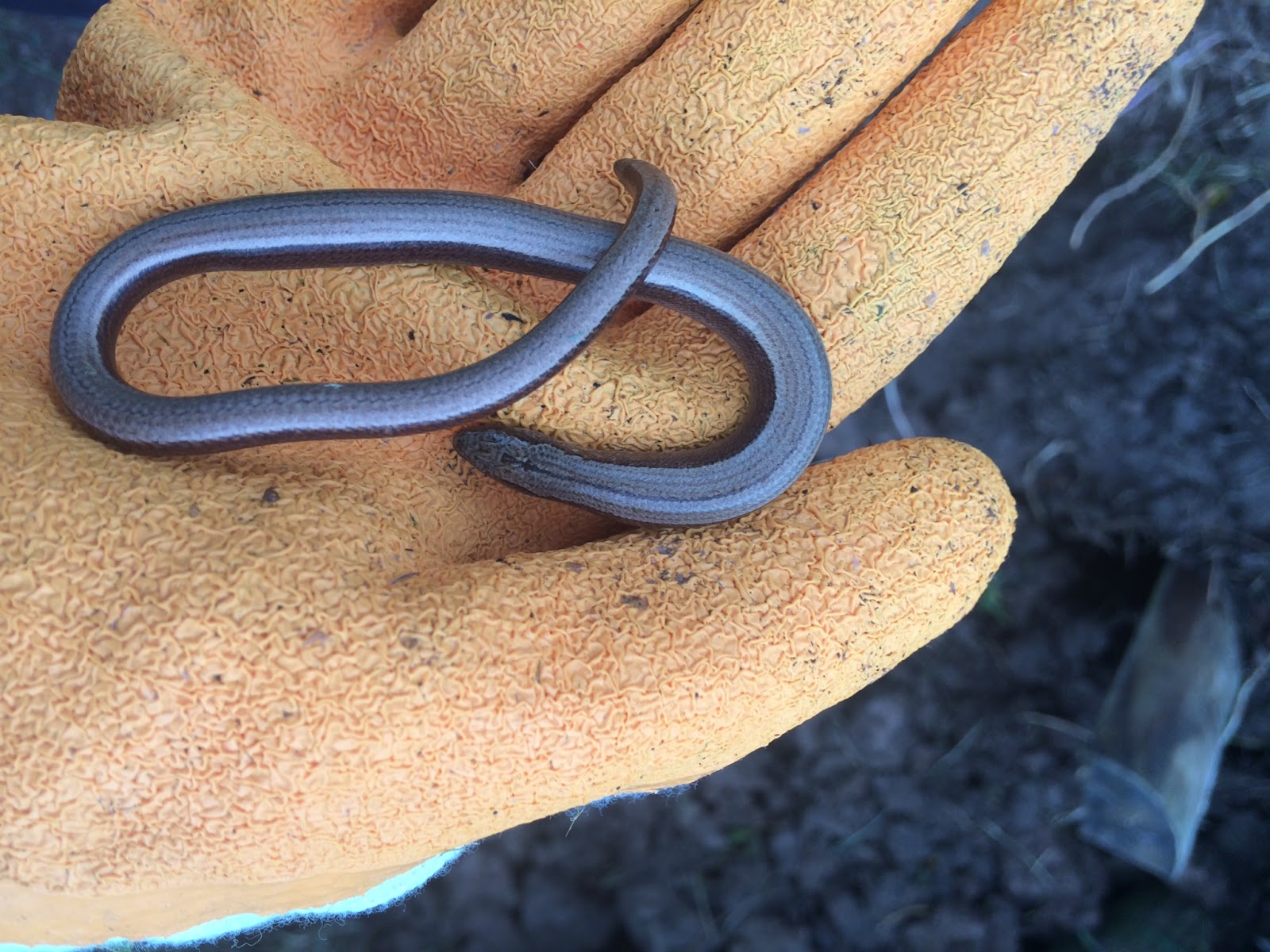 JPR Environmental 2015