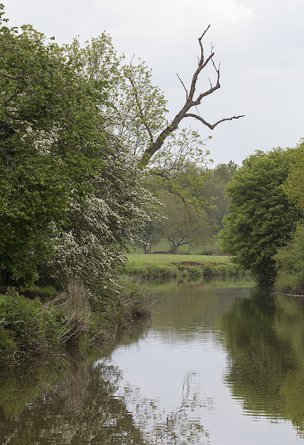 The River Medway near Leigh on 19 May 2012.