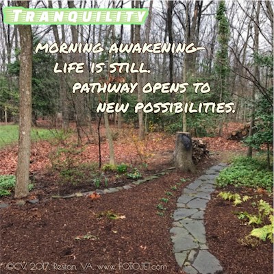 beyond literacylink march musings 27 gratitude