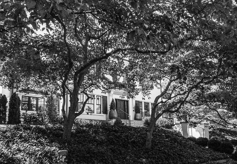 My Notting Hill St Albans' Christmas House Tour not to be missed!