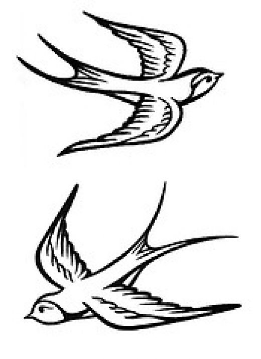 bird drawing tattoo