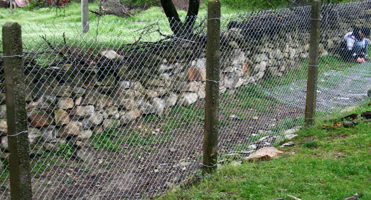 I have (the beginnings of) a perimeter fence! I have (the beginnings of) a perimeter fence!