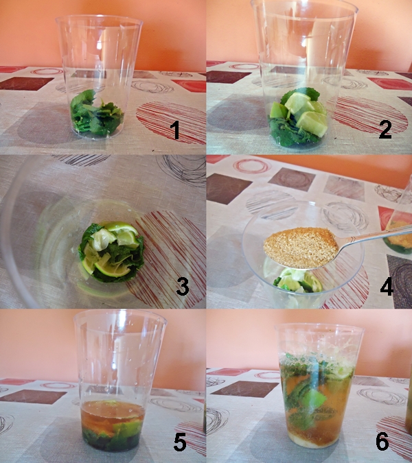 Preparação do mojito