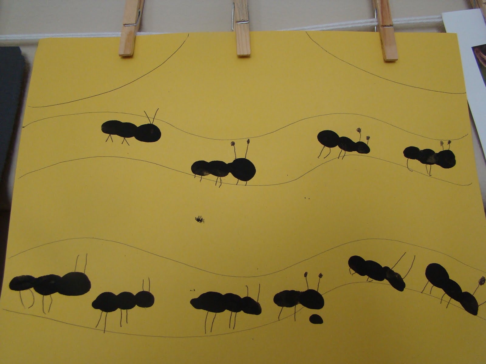 Theme Thursday Bugs & Insects