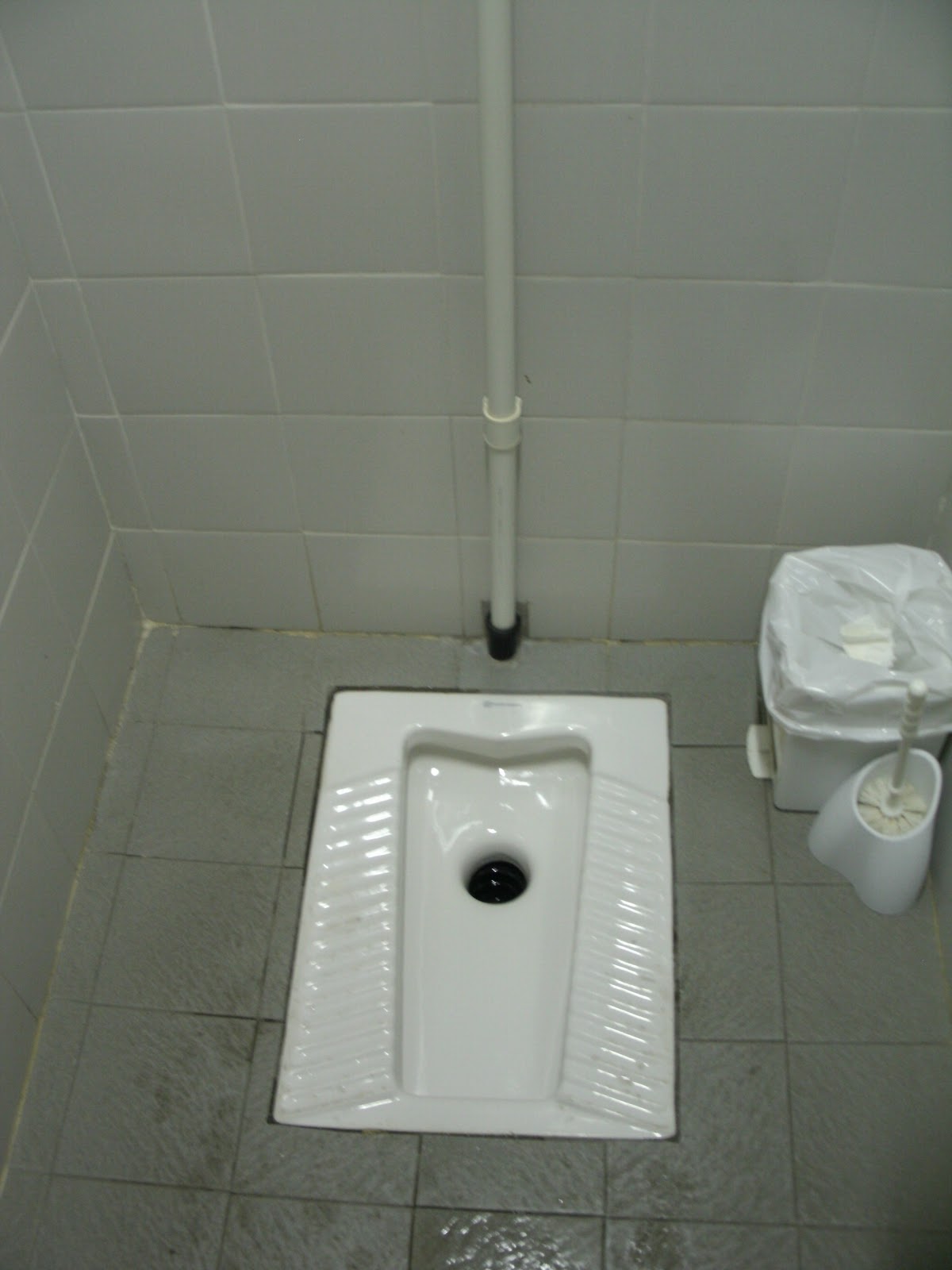 The Privy Counsel (A Bog Blog) Italian Toilets Mi Piace Servizi Igienici