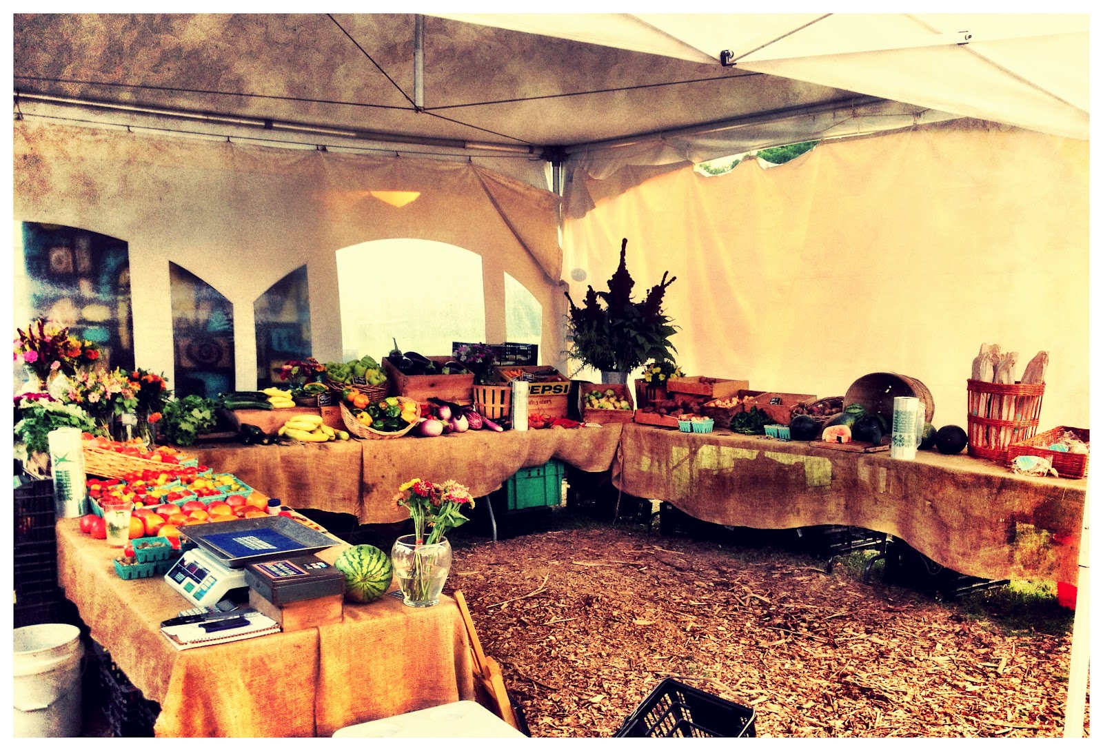 Kim And Curt S View From The Van Wrentham Mass White Barn Farm