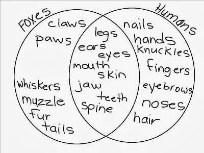 mrs obachs ict adventures humans foxes human venn diagram