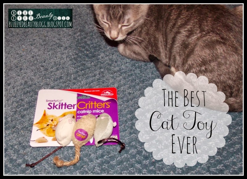 Blue Eyed Beauty Blog The Best Cat Toy Ever
