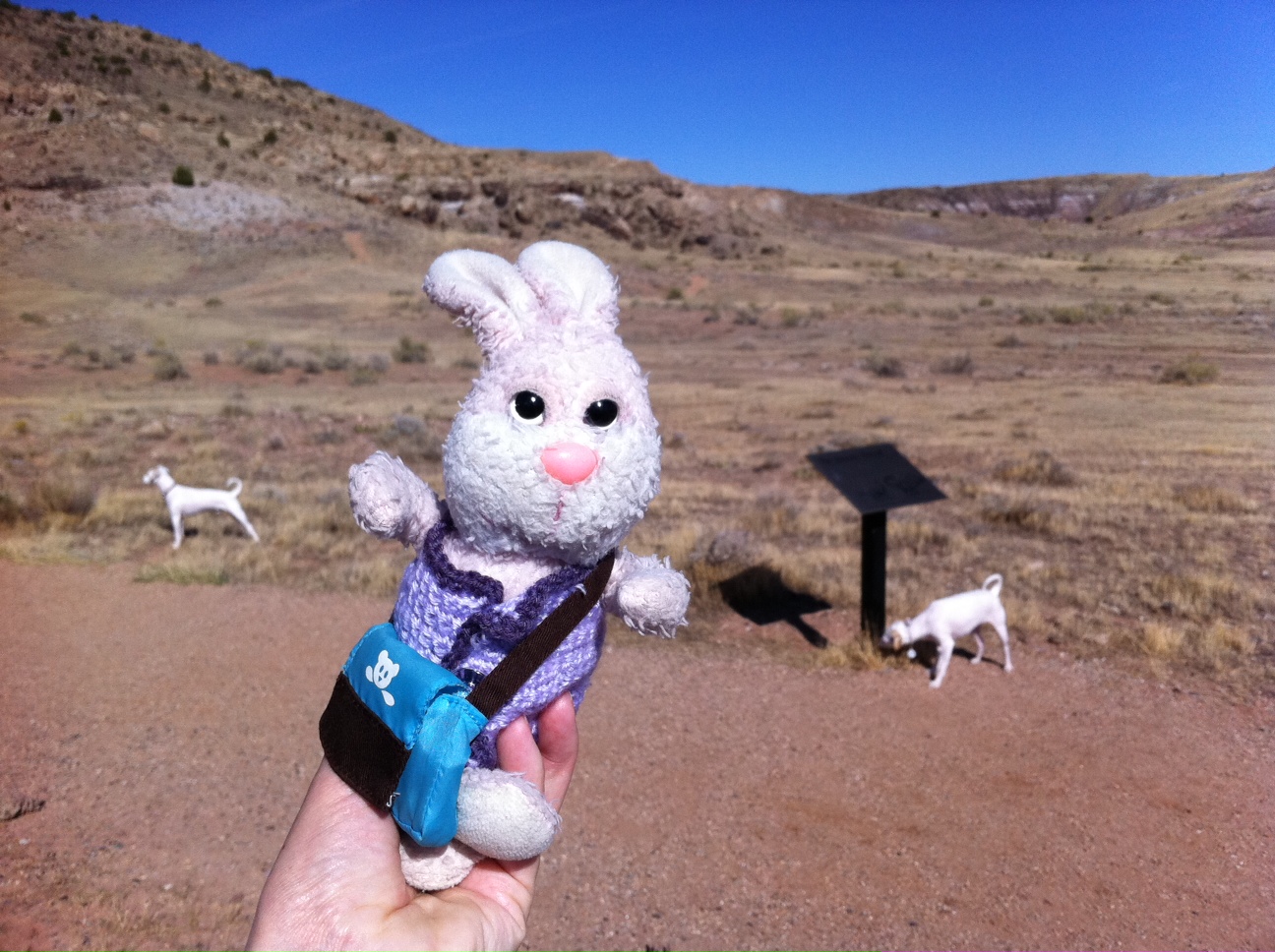 found bunny Rabbit Valley pit stop