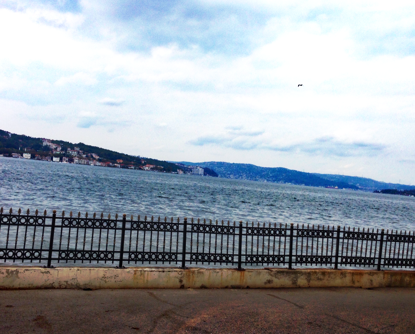 Yağmur ve Serhat Kurban Bayramı�nın 3.günü ve Beykoz