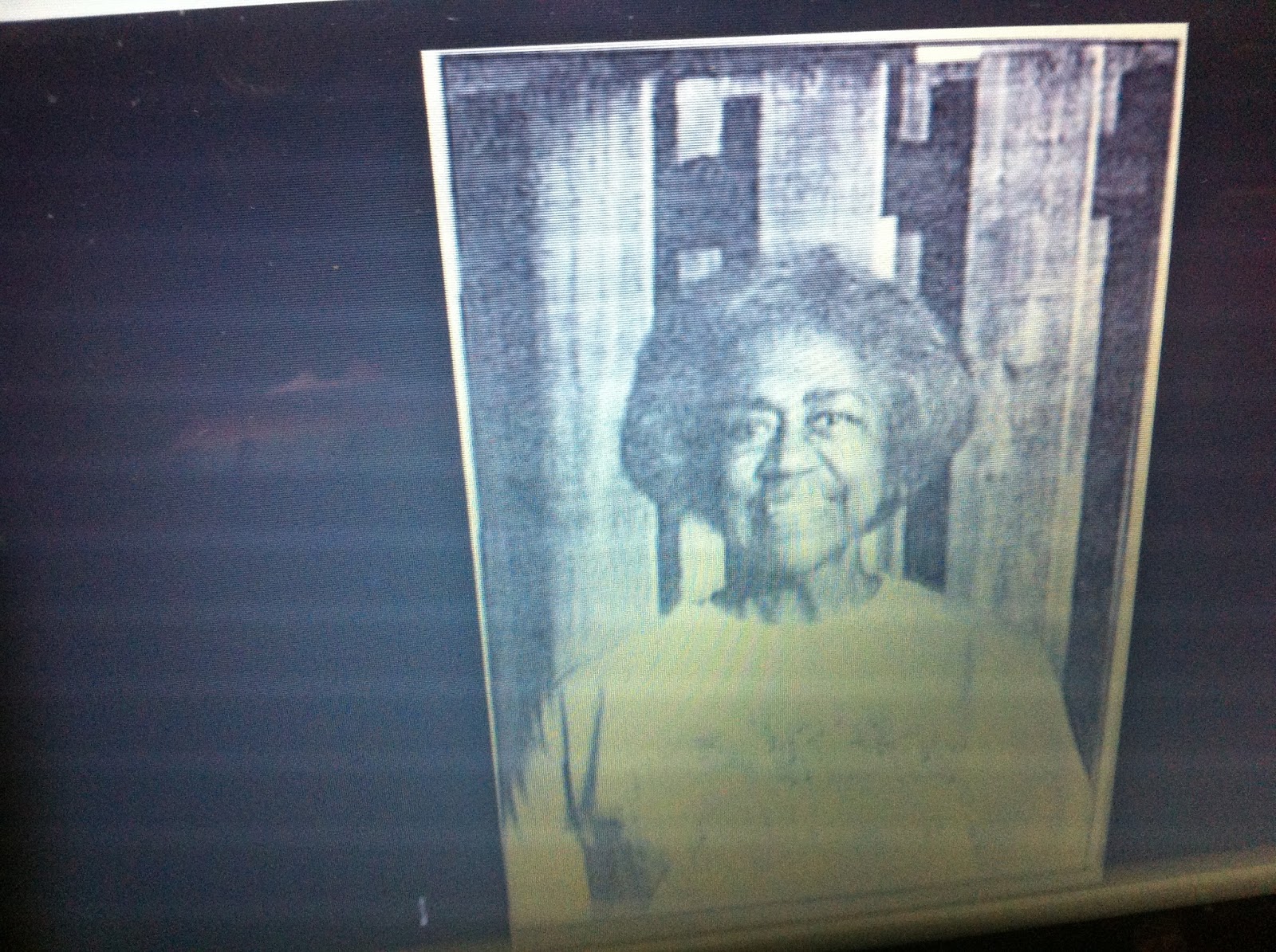 THE BLACK SOCIAL HISTORY BLACK SOCIAL HISTORY AFRICAN AMERICAN