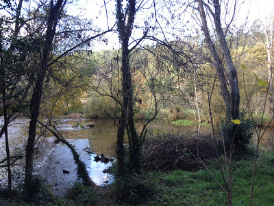 By E.V.Pita / River Anllóns to Ponteceso, Galicia, Spain, Fall 2012