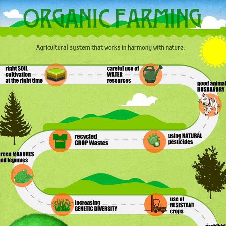 un report says small scale organic farming only way to feed the world grid world organicfarming ph un report says small scale organic farming only way to feed the world grid world organicfarming ph