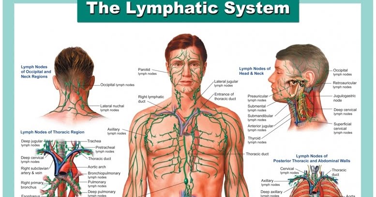 Eat Red: Lymph Cleansing Foods
