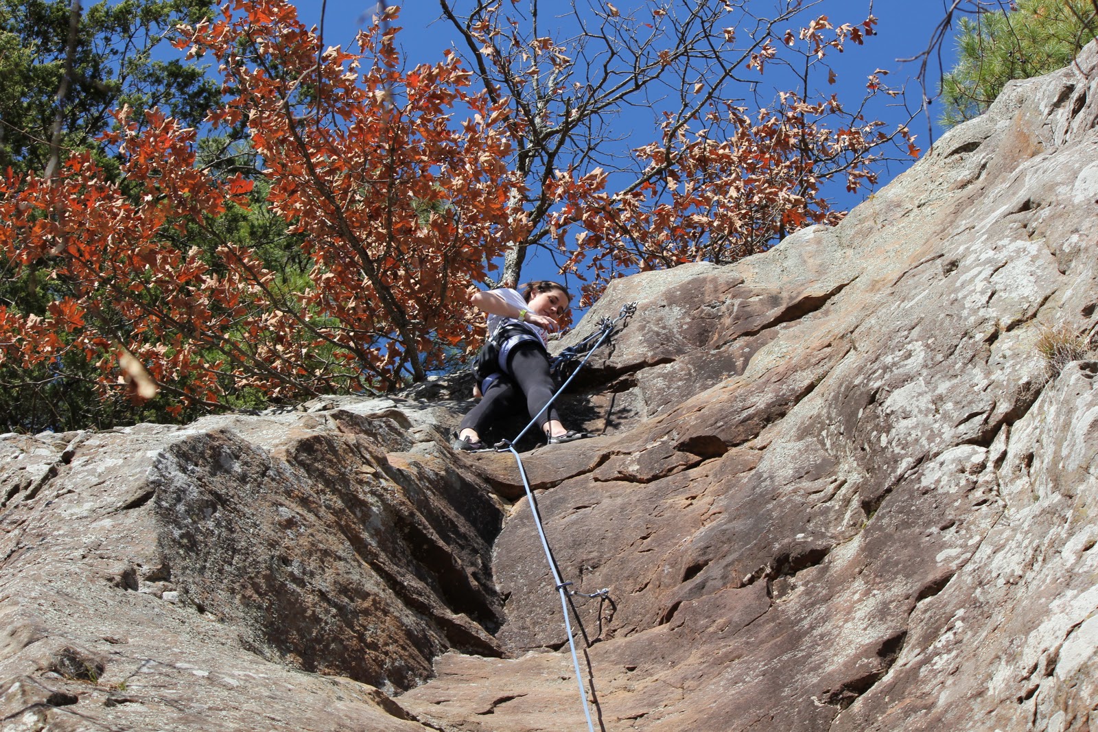 Dashboard Diary Rock Climbing at Horseshoe Canyon Ranch