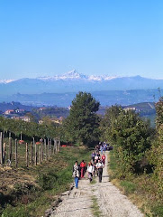 Le Langhe (Cn)