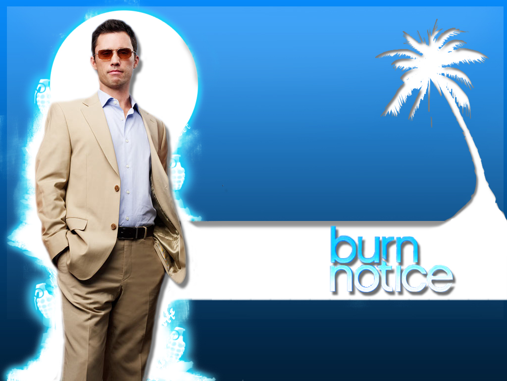 Burn Notice Poster Gallery1 Tv Series Posters and Cast