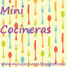 MINICOCINERAS