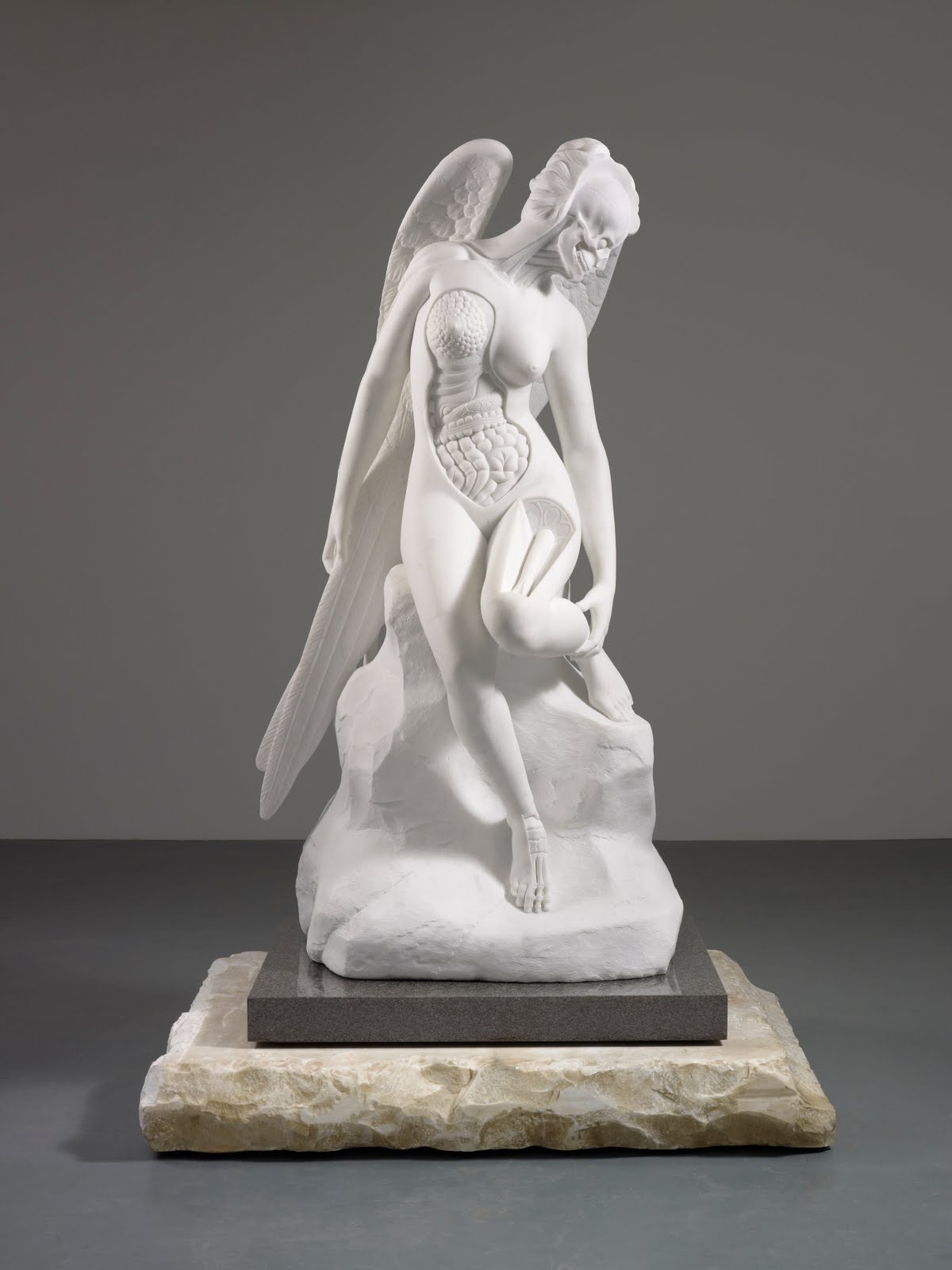 Leeds Art Gallery opens doors for firstever Damien Hirst exhibition