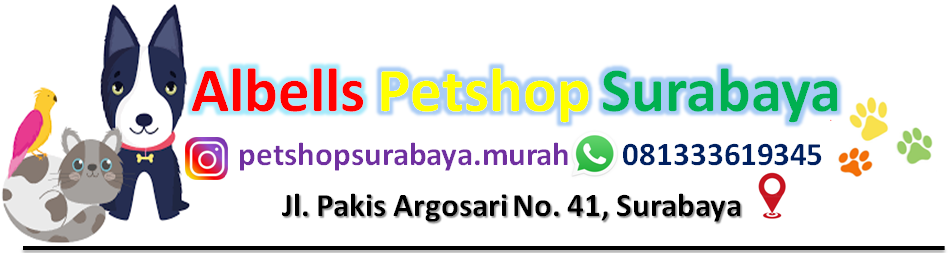 Albells Petshop Surabaya | Jasa Grooming Kucing  dan Cat Hotel 