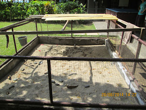 Protected & fenced "Sand pit" for hatching "TURTLE EGGS" in "REEF SEEN Turtle Conservatory".