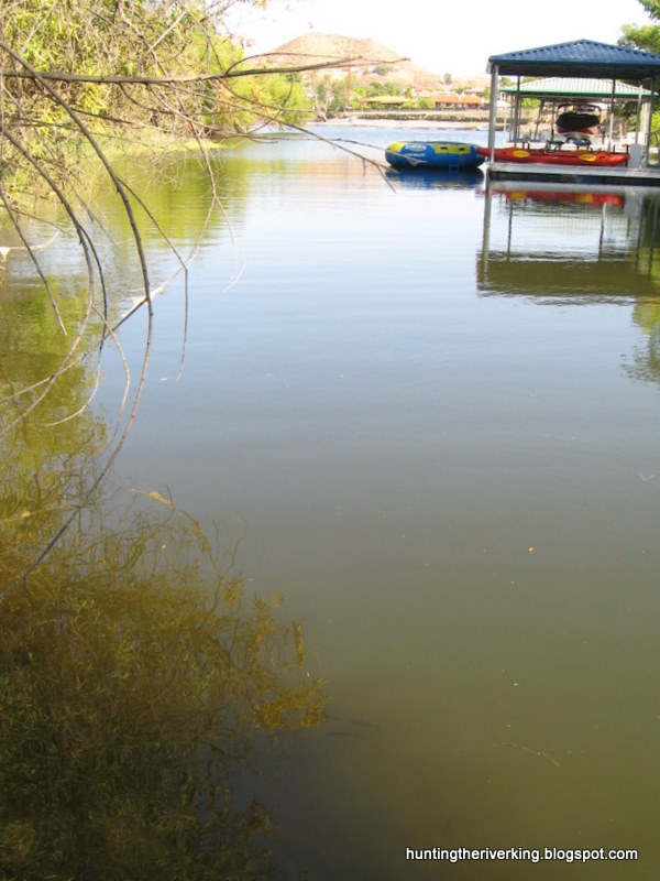 Canyon Lake Bass Fishing Hunting the River King