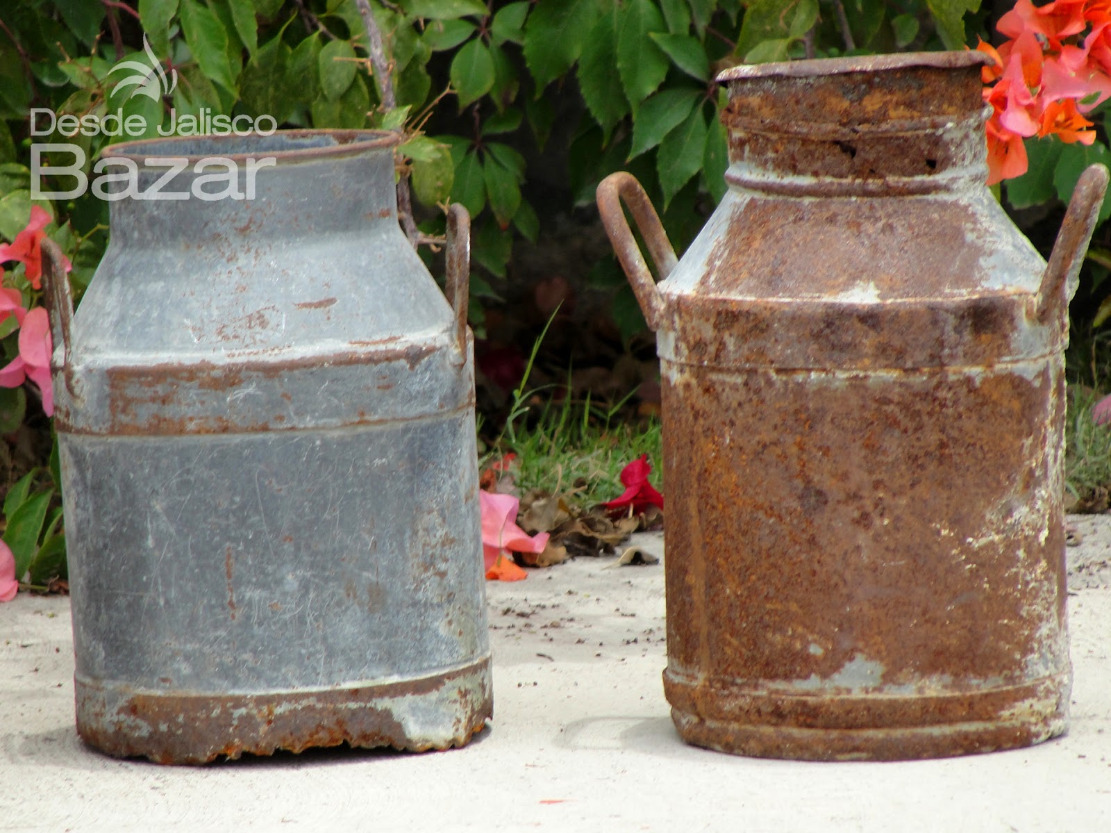 Desde Jalisco Bazar: Botes lecheros rústicos