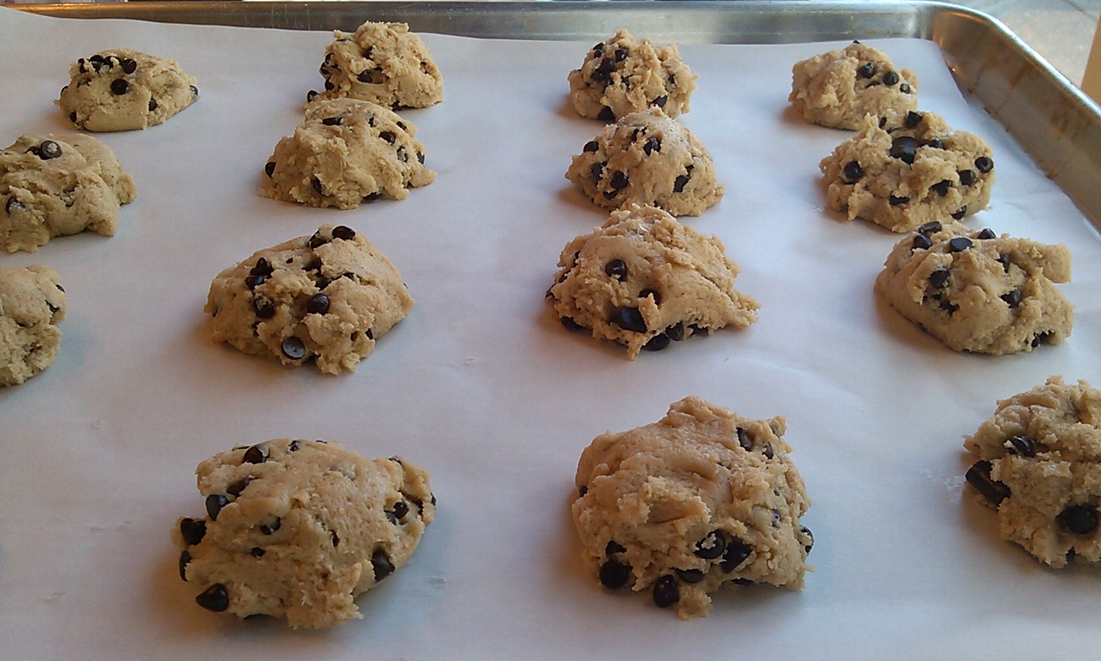 Fairy Wings and Pixie Dust... Chocolate Chip Cookies