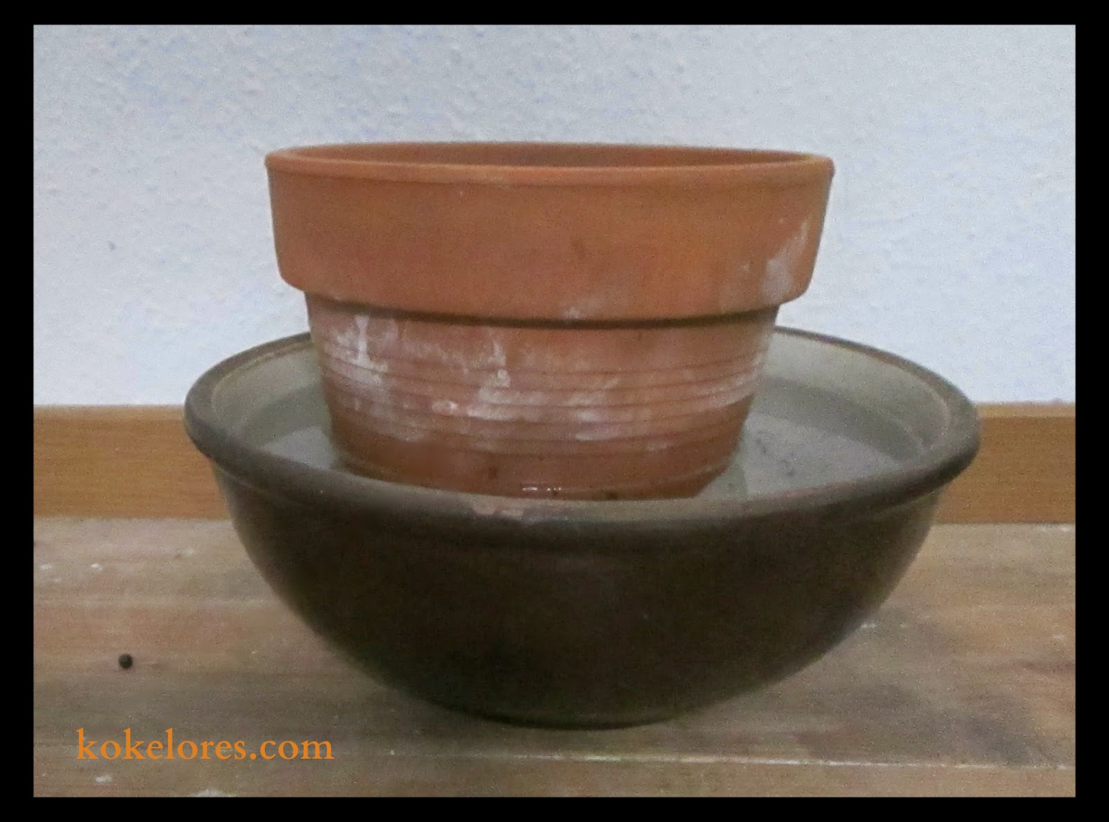 Deutsches Theatermuseum Publikationen Des Deutschen Theatermuseums