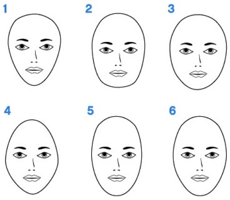 Contouring Face Shape Chart
