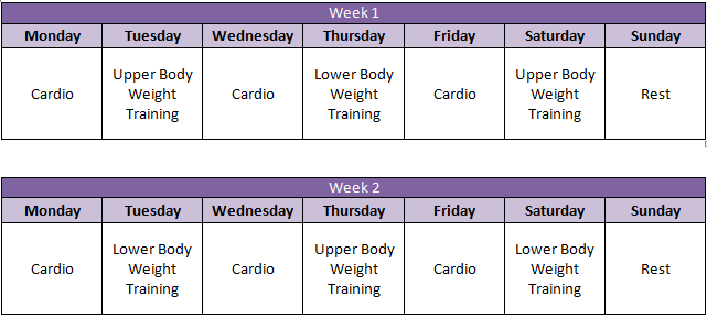 12 Week Training Program To Lose Weight