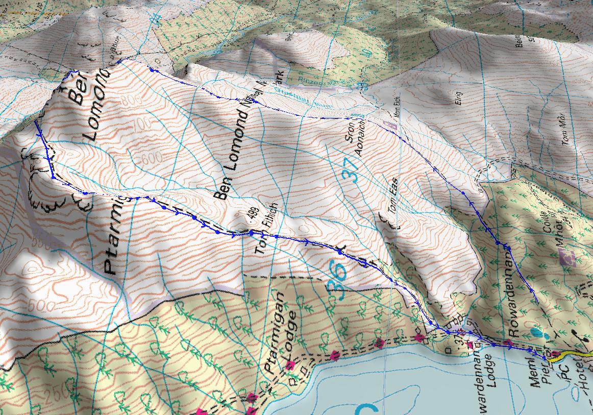 Walk This Wayne Ben Lomond