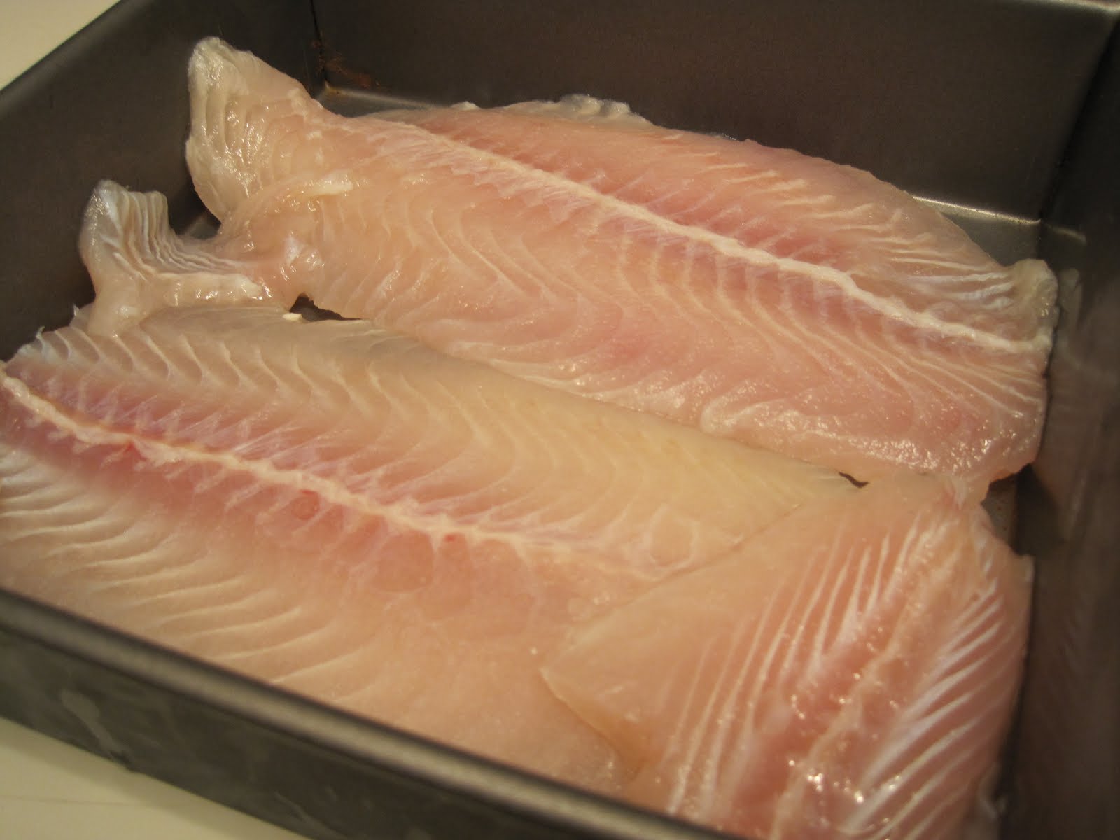 Corcoran Street Kitchen Tequila Sunrise Broiled Fish