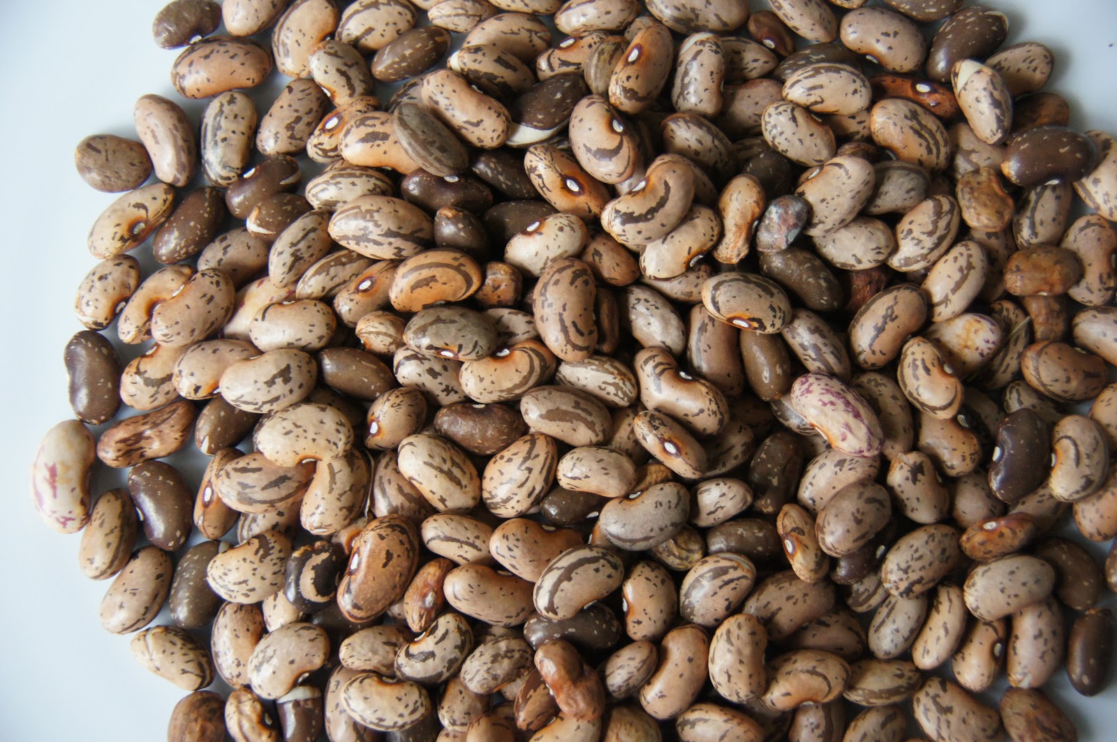 A Thinking Stomach The Beans of 2012