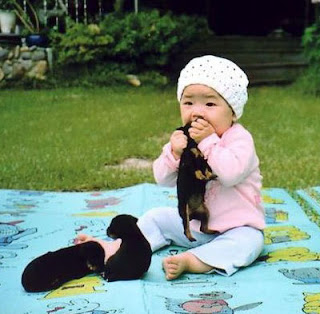 Cute Funny Puppies and Kittens Cute Funny Puppies and Kittens