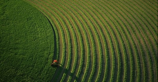use of insecticides and pesticides use of insecticides and pesticides