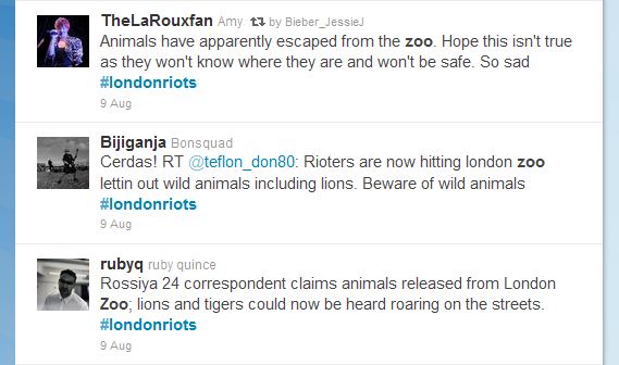 zoo+tweets.JPG