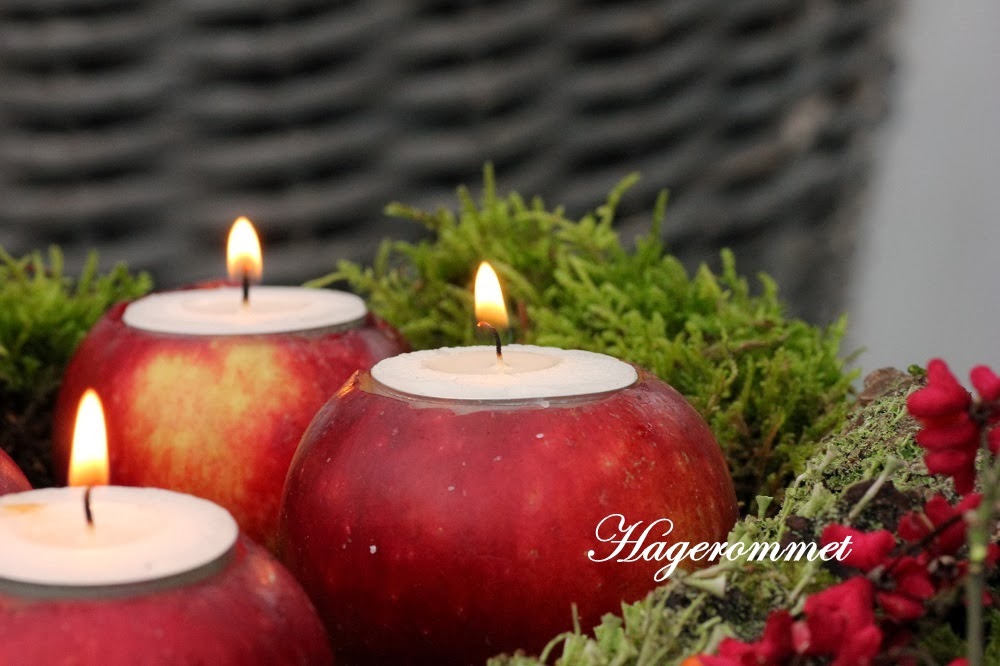 Hagerommet: landskap med mose....