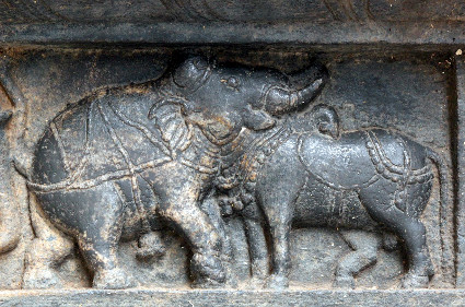 optical illusion elephant