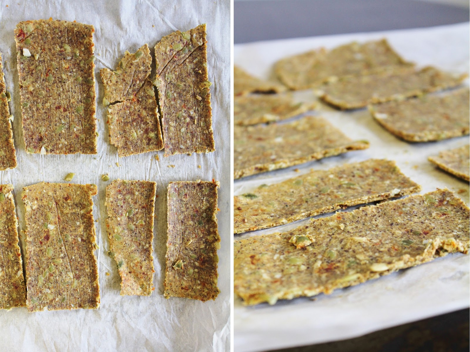This Rawsome Vegan Life sprouted chickpea bread