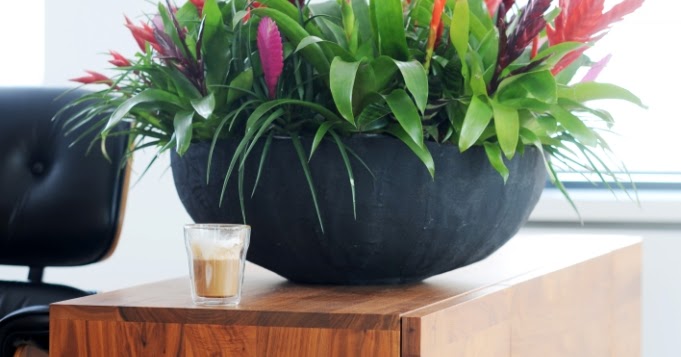 De planta Cenicienta a planta Princesa.