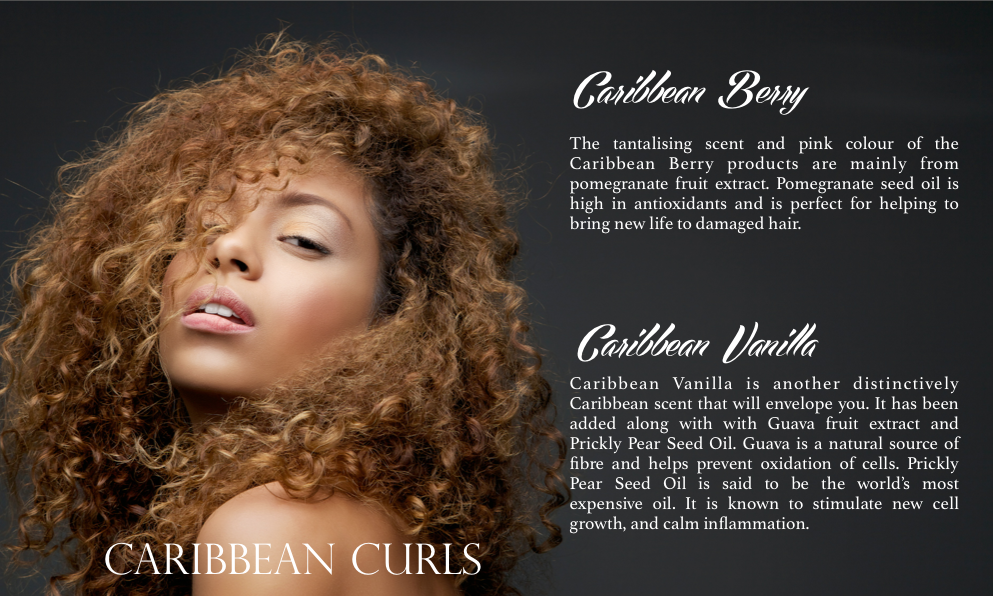 Caribbean Curls | AfroDeity